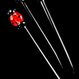 (Assorted Colors) Glass Ladybug Dab Tool – 5″